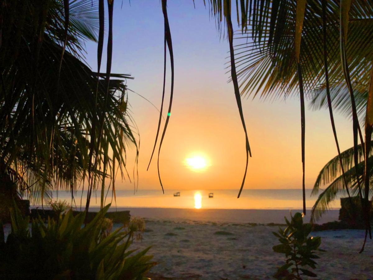 Coconut Village Beach Resort Diani Beach Zewnętrze zdjęcie
